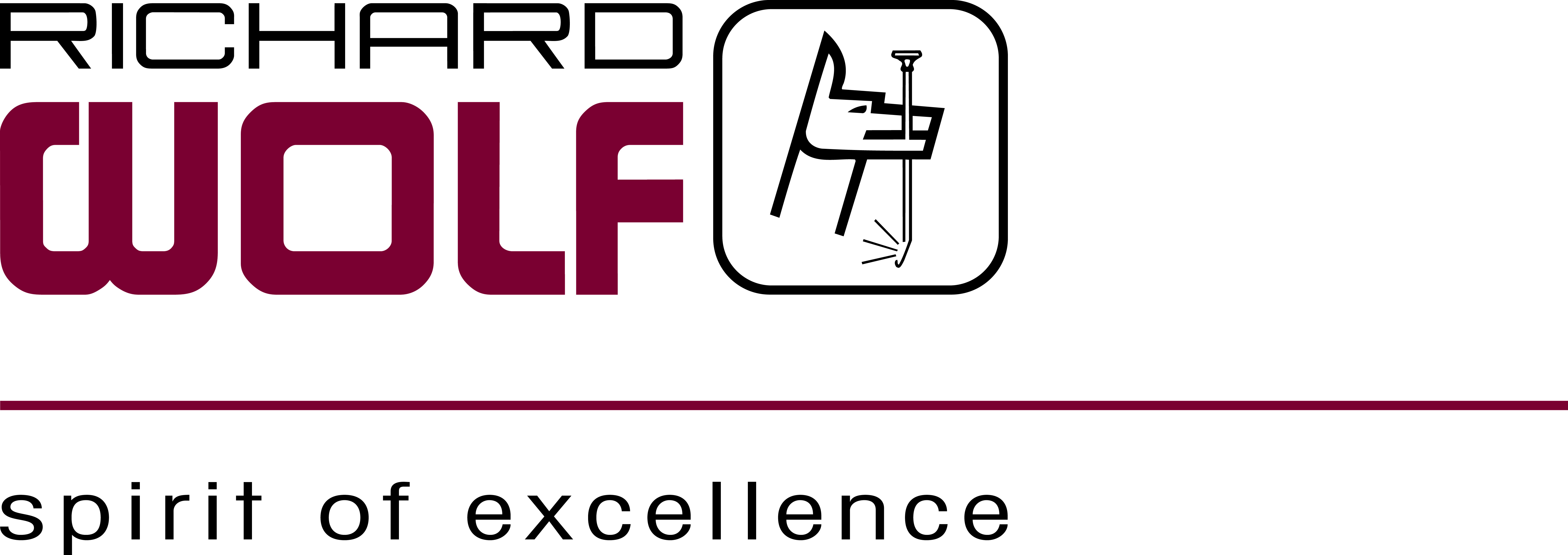 Richard Wolf GmbH