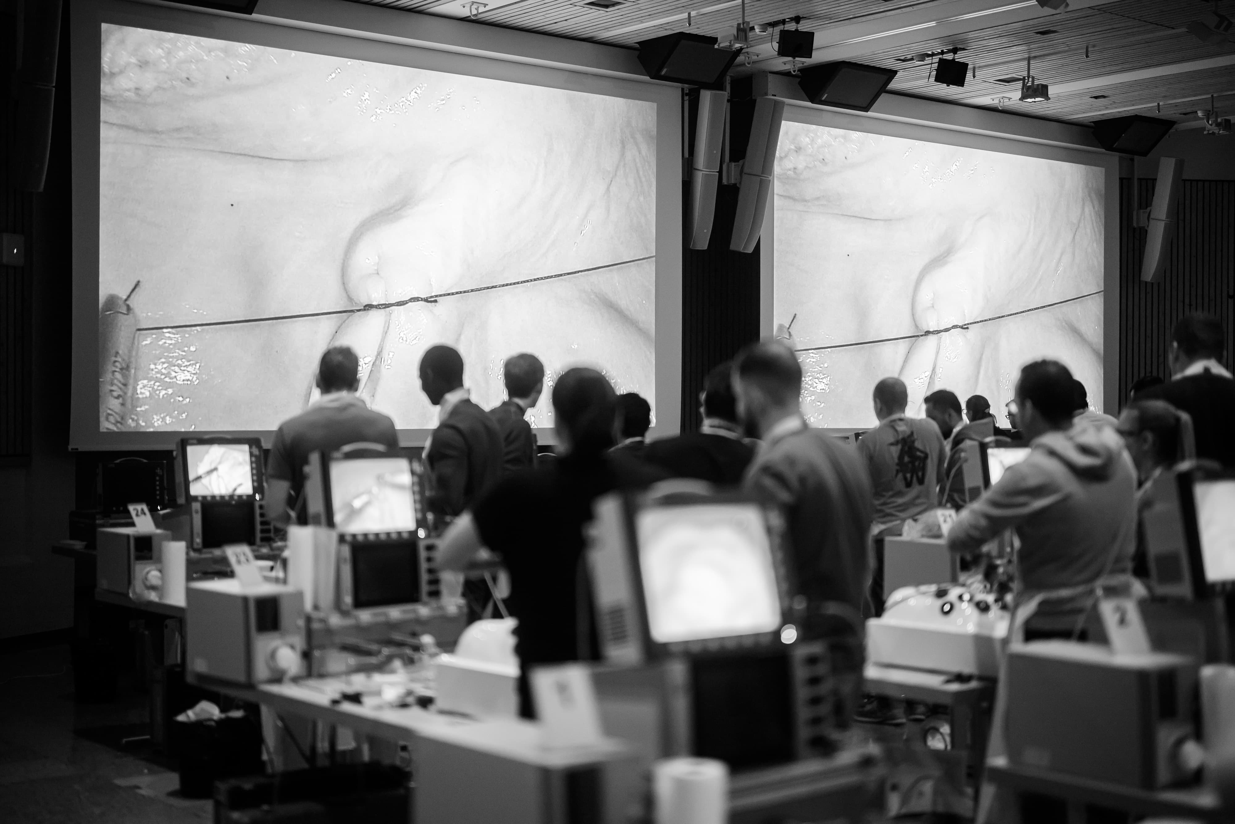 Advanced Upper GI Module